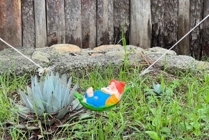 Ciudad de México: Prismas Basálticos, Peña del Aire y Huasca