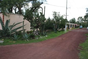 Ciudad de México: Excursión a la Basílica y las Pirámides de Teotihuacán