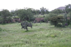 Mexico City: Basilica and Teotihuacan Pyramids Tour