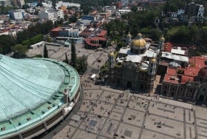Ciudad de México: Basílica de Nuestra Señora de Guadalupe Tour privado