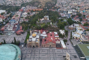 Ciudad de México: Basílica de Nuestra Señora de Guadalupe Tour privado