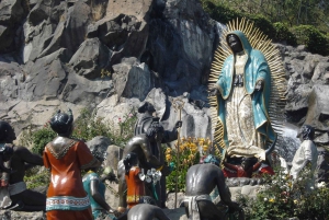 Ciudad de México: Visita a la Basílica de Nuestra Señora de Guadalupe