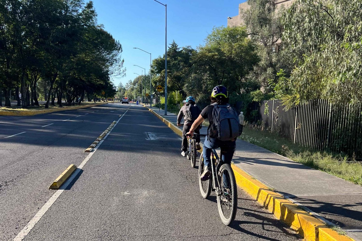 Mexico City: Bike, Cannabis, Nature, Food, Culture and History.