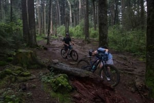 Ciudad de México: Paseo en Bicicleta por el Desierto de los Leones