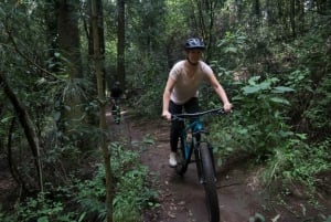 Ciudad de México: Paseo en Bicicleta por el Desierto de los Leones