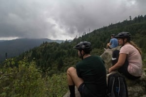 Ciudad de México: Paseo en Bicicleta por el Desierto de los Leones