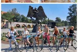 TOUR DE LA CIUDAD DE MÉXICO EN BICI Y PASAPORTE GASTRONÓMICO