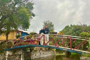 Ciudad de México: Tour en bote y tradicional fiesta mexican