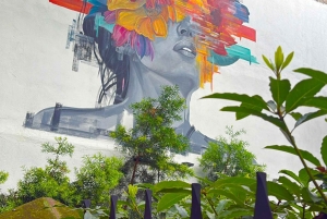 Ciudad de México: tour en teleférico y arte urbano