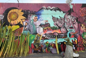 Ciudad de México: tour en teleférico y arte urbano