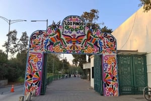 Ciudad de México: tour por teleférico, espacios culturales y comida típica