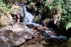 Mexico City: Cascada de Hueyapan Private Hiking Tour