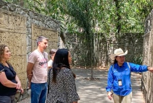 Mexico City: Chapultepec Castle and Anthropology Museum Tour