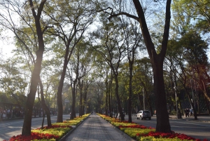Ciudad de México: visita guiada al castillo y bosque de Chapultepec