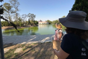 Ciudad de México: visita guiada al castillo y bosque de Chapultepec