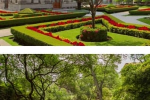 Private walking tour Gems of Historic Center of Mexico City