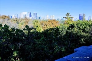 CDMX: Chapultepec Castle & Anthropology Museum Private Tour