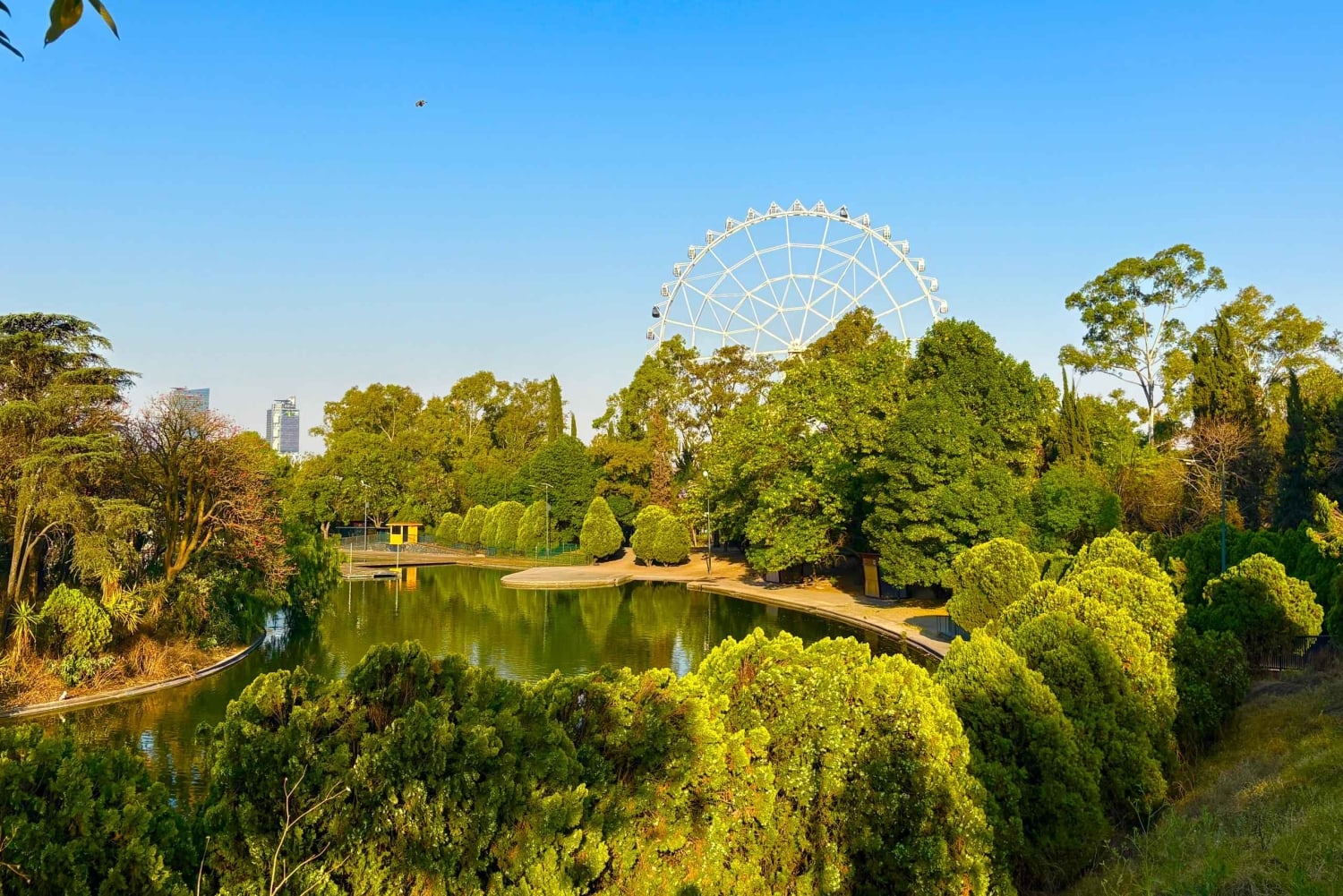 Ciudad de México: Bosque de Chapultepec, la joya escondida de Diego Rivera