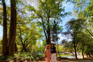 Ciudad de México: Bosque de Chapultepec, la joya escondida de Diego Rivera