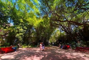 Ciudad de México: Bosque de Chapultepec, la joya escondida de Diego Rivera
