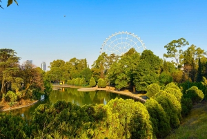 Mexico City: Chapultepec Forest walking Tour