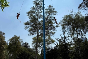 Mexico City: Chapultepec Museums Walking Tour 'From Heroes to Origins'