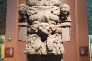 Mexico City: Chapultepec Park and Museums Walking Tour