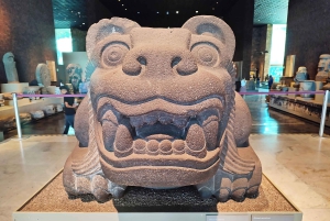 Mexico City: Chapultepec Park Bike Tour with Museums