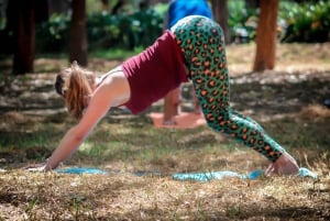 Mexico City: Chapultepec Park Yoga Class with Sound Bath