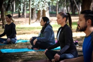 Mexico City: Chapultepec Park Yoga Class with Sound Bath