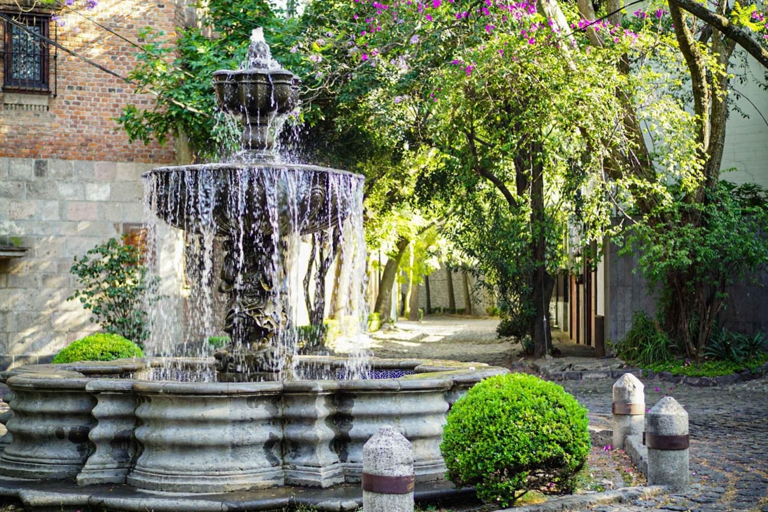 Ciudad de México: paseo fotográfico y pícnic en Chimalistac, Coyoacán