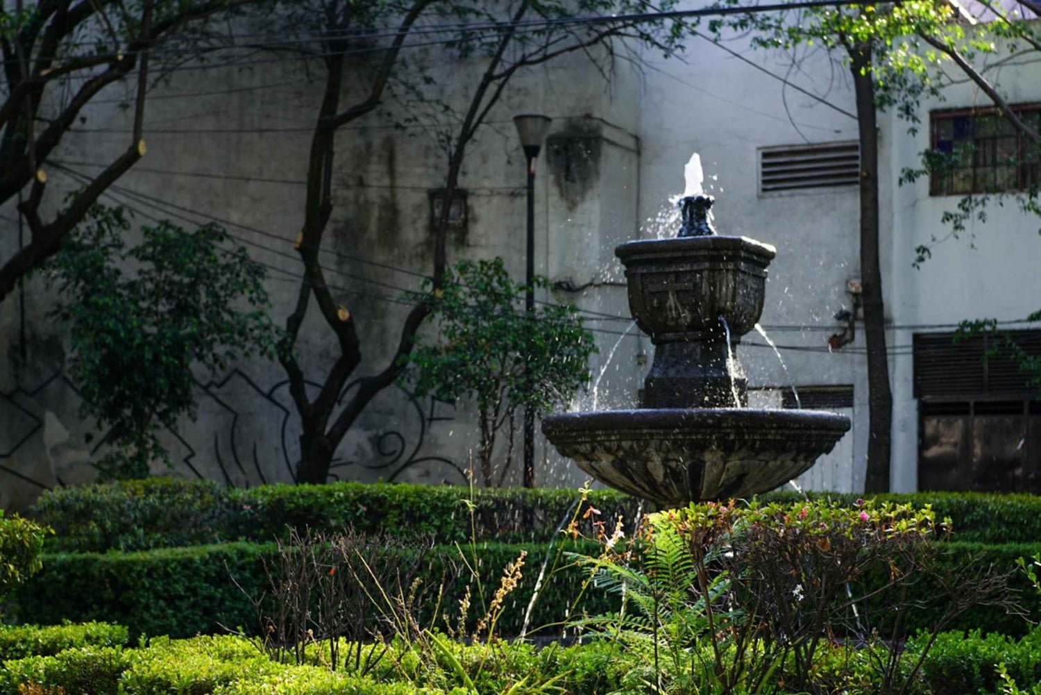 Ciudad de México: paseo fotográfico y pícnic en Chimalistac, Coyoacán