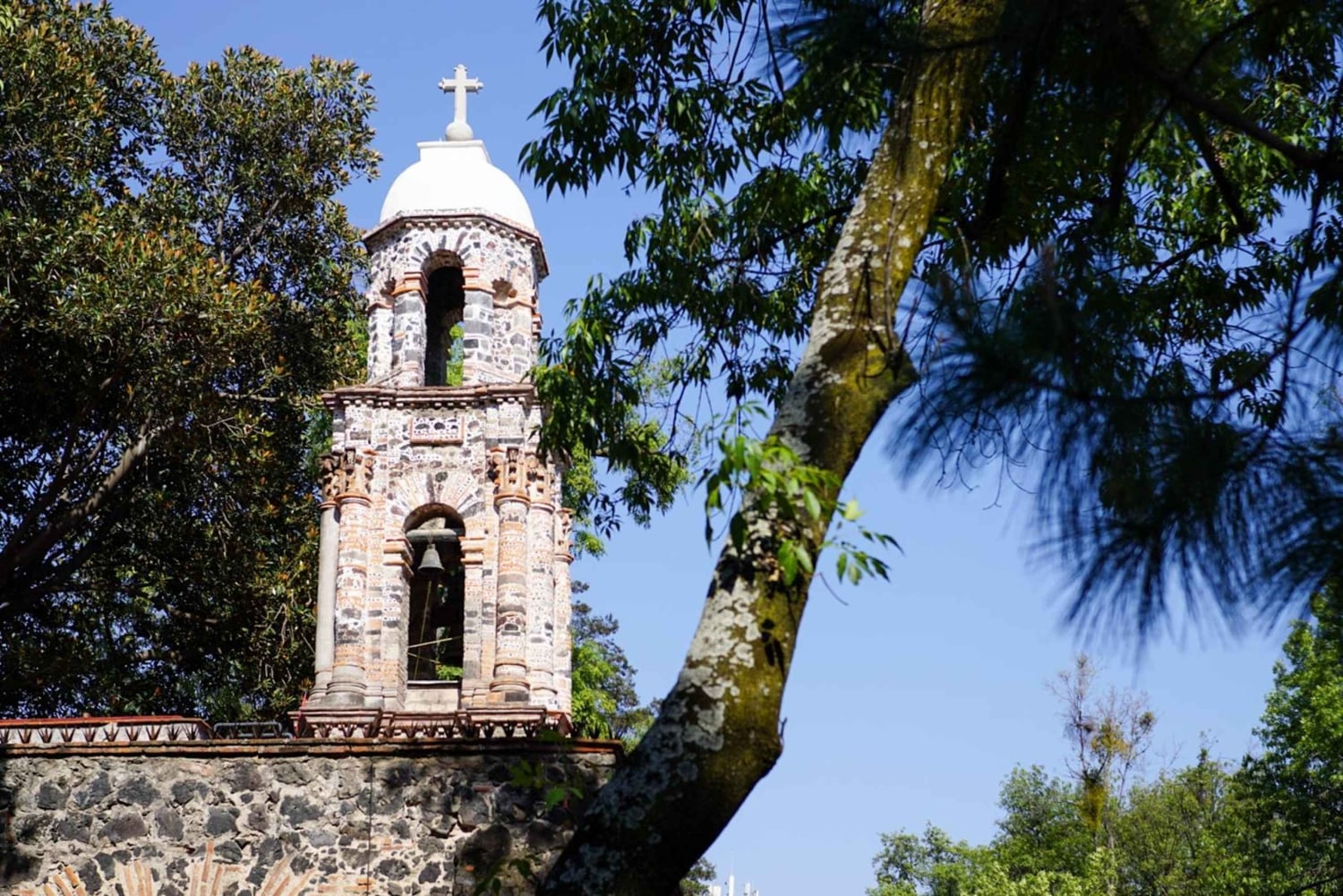 Ciudad de México: paseo fotográfico y pícnic en Chimalistac, Coyoacán