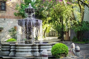 Ciudad de México: paseo fotográfico y pícnic en Chimalistac, Coyoacán