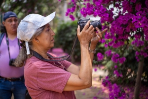 Ciudad de México: paseo fotográfico y pícnic en Chimalistac, Coyoacán
