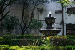 Ciudad de México: paseo fotográfico y pícnic en Chimalistac, Coyoacán