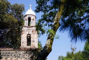 Ciudad de México: paseo fotográfico y pícnic en Chimalistac, Coyoacán