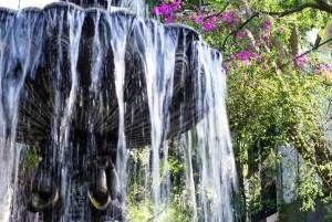Ciudad de México: paseo fotográfico y pícnic en Chimalistac, Coyoacán