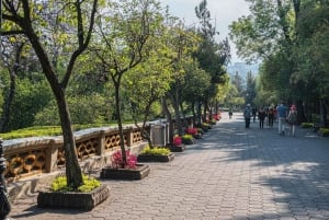 Mexico City: City Tour from Chapultepec Park to the Reforma Boulevard