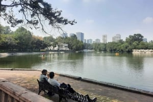 Mexico City: City Tour from Chapultepec Park to the Reforma Boulevard