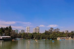 Ciudad de México: tour desde el parque de Chapultepec hasta el Paseo de la Reforma