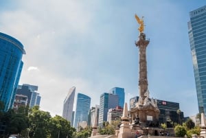 Ciudad de México: tour desde el parque de Chapultepec hasta el Paseo de la Reforma