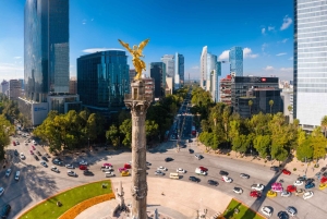 Ciudad de México: Tour de la ciudad