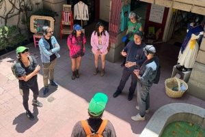 Mexico City: Colonia Roma Musical Walking Tour