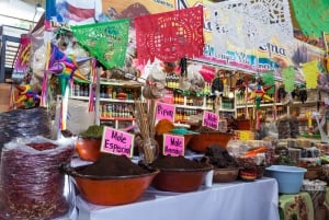 Mexico City: Coyoacán Area Food & Drink Tastings Guided Tour