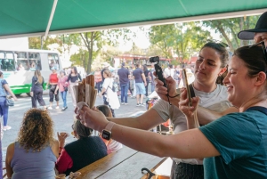 Ciudad de México: Visita guiada a la zona de Coyoacán para degustar alimentos y bebidas