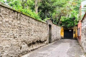 Mexico City: Coyoacán Bohemian History Tour