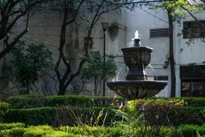 Mexico City: Coyoacán & Chimalistac Photo Walk & Picnic