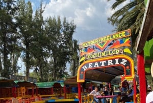 Mexico City: Xochimilco Coyoacan & Frida Kahlo with Lunch
