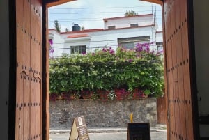 Mexico City: Coyoacán Tour, Frida Kahlo Museum & Breakfast
